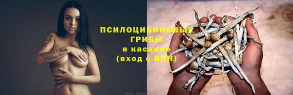 герыч Аркадак