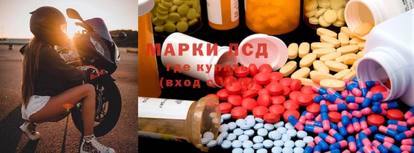 ГАЛЛЮЦИНОГЕННЫЕ ГРИБЫ Арсеньев