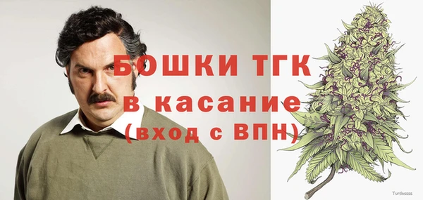 ГАЛЛЮЦИНОГЕННЫЕ ГРИБЫ Арсеньев